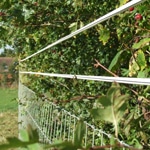 Electric horse tape and netting against hedge