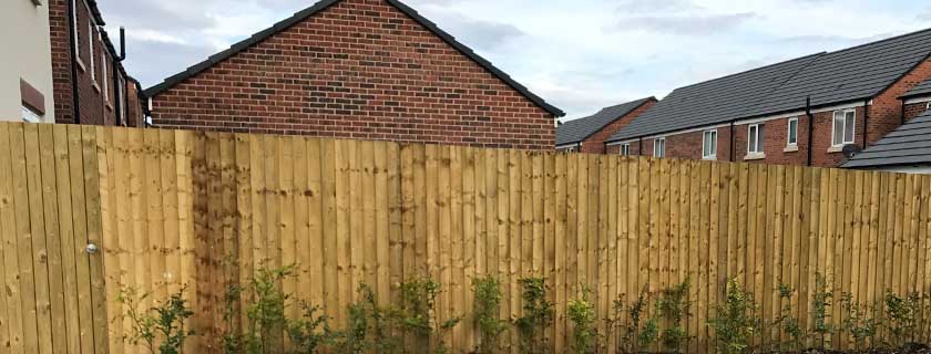 Timber feather edge fencing around housing