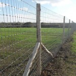 Otter Fencing