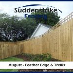 Suddenstrike Fencing feather edge fence in garden